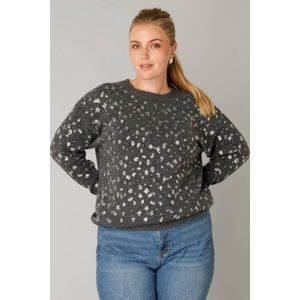 Yest Curve - Gebreide Trui - Grijs - Met Wol - Met Glitter