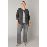 Yest Curve - Cardigan - Grijs