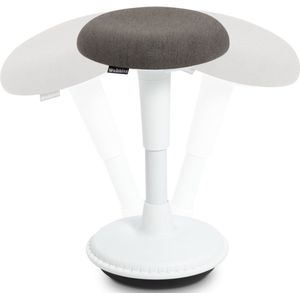 Wobblez® Wiebelkruk - Ergonomische kruk voor Bureau met een hoogte 60-80 cm - kruk in hoogte verstelbaar van 43-63 cm - Witte wiebelkruk met Antraciet zitting