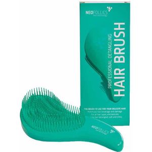 Neofollics Hair Brush