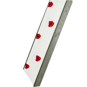 Klimwand voor AXI Speelhuisjes en Speeltoestellen - Max, Sarah, Marc, Liam, Pumba, Simba en Atka