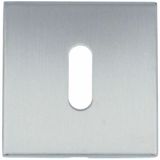 Formani | Sleutelplaatje BASIC BSQN53 | RVS mat