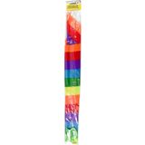 Benson Vlieger Regenboog 120 cm - Complete Set