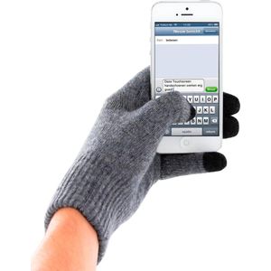Mobiparts Touchscreen Handschoenen grijs (maat L)