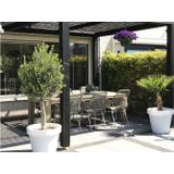 Apple Bee Zara dining tuinstoel stapelbaar , Taupe - Naturel - Bruin,Wit - Ecru ,  Aluminium  ,
