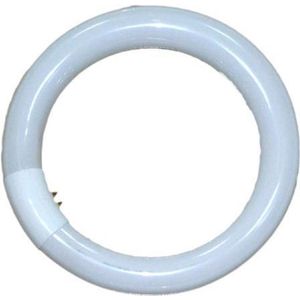 Falcon Eyes Ringlampe 28w für RFL-2 RFL-3