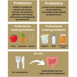 Golden Naturals Probiotica 50 miljard (90 capsules)