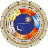 Passiflora - Slaap Support - Supplement - Ondersteuning Slaapkwaliteit