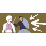 Scutellaria - 2000 mg - Multivitaminen - Natuurlijke Ondersteuning