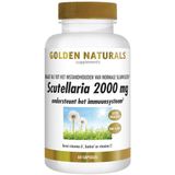 Scutellaria - 2000 mg - Multivitaminen - Natuurlijke Ondersteuning