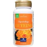 Hanoju Tagetes erecta extract 400 mg 90 capsules