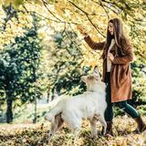 Grisport - Sutherland - Wandelaars - Grijs - Gevet Leer, Suède