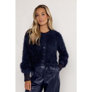 Poools - Cardigan Sparkling - Gebreid Vest - Blauw - Lurex Details