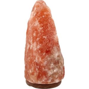 Zoutsteen Lamp - 6-10 kg - Inclusief Elektra