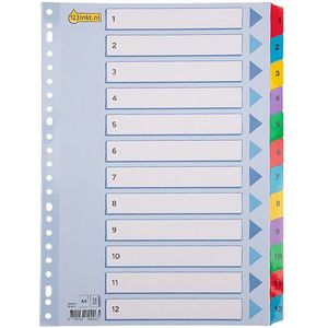 123inkt kartonnen tabbladen A4 met 12 tabs (23-gaats)