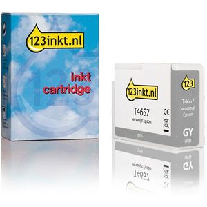 Epson T46S7 inktcartridge grijs (123inkt huismerk)
