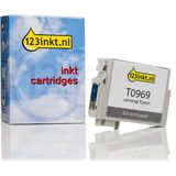 Inktcartridge - Licht Zwart - 13 ml - Voor Epson Stylus Photo R2880