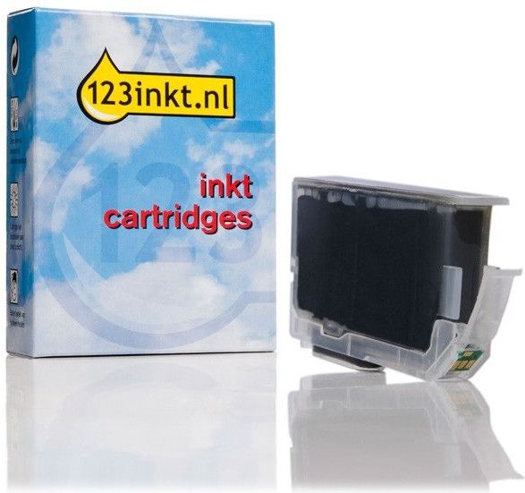 Inktcartridge - Grijs - 13.4 ml - Geschikt voor PIXMA Pro 9500 Mark II