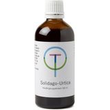 Solidago Urtica /Tw