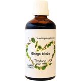 Therapeutenwinkel Ginkgo biloba tempelboom 100 ml