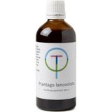 Plantago lanceolata - Kruidenpreparaat - Tinctuur - Extract van smalbladige weegbree