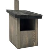 Halfhol - Roodborstje Grijs Met Vogel