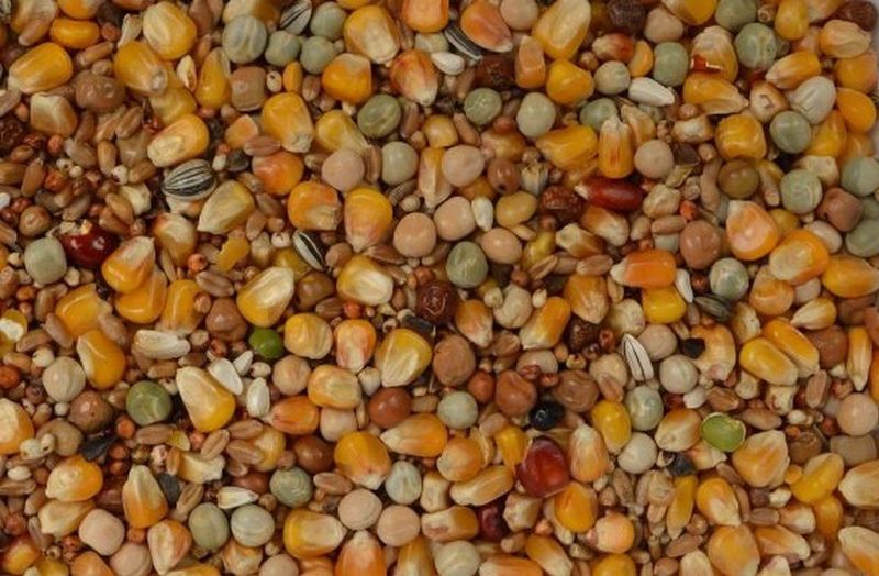 Allround Mix