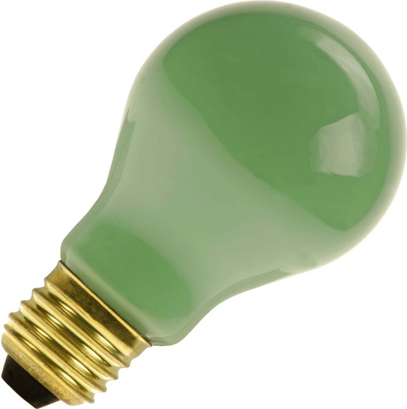 Schiefer - E27 GLS - Lamp - Groen - Peervormig - 40W