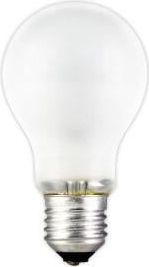 Schiefer gloeilamp E27 Grote Fitting 60w 60x105mm 235v mat