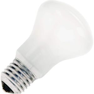 SPL | Gloeilamp Superluxlamp | Grote fitting E27 | 53W 50mm Opaal