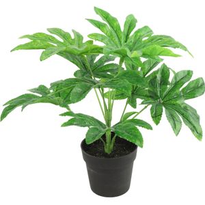 Countryfield Kunstplant Fatsia plant in bloempot - Groen - 15 x 32 cm