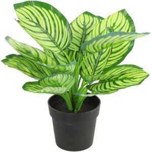 Countryfield Kunstplant Calathea plant in bloempot - Groen - 15 x 28 cm