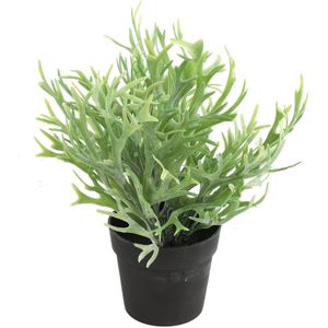 Countryfield Kunstplant Platycerium plant in bloempot - Groen - 20 x 24 cm