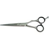 Kyone - 480 College Line - Knipschaar - Zilver - Japans Staal - 6,0 Inch