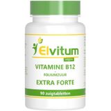 Elvitum Vitamine B12 extra forte + foliumzuur 90 zuigtabletten