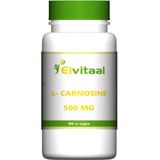 Elvitum L-Carnosine 500mg 90 Vegetarische capsules