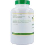 Elvitum - Temulawak Curcuma Xanthorrhiza - Capsules - 60 Stuks