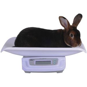 Comfort Digitale weegschaal - nauwkeurige en betrouwbare weegschaal voor kleine dieren