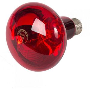 Powerheat Warmtelamp - Verwarming - 9x9x13 cm Rood 60 Watt