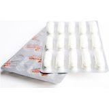 Virtuoos probioticum gold capsules 90CP