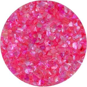 Quiges - Munthouder Munt 25mm Schelp Roze - EPRS008