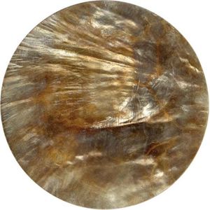 Quiges - Munthouder Munt 25mm Schelp Bruin - EPRS016