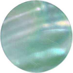 Quiges - Munthouder Munt 25mm Schelp Lichtblauw - EPRS019