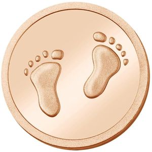 Quiges - Munthouder Munt 25mm Ik hou van jou Roségoudkleurig - EPRS030