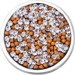 Quiges - Munthouder Munt 25mm RVS met Zirkonia Multi - EPRS066