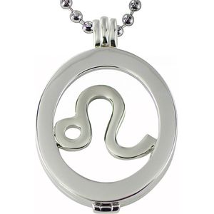 Quiges Munthouder Ovaal met Ketting en Munt Set - EPMS024
