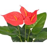 Anthurium - Kunstplant - Rood Geel - Kunststof - Hoogte 45 cm
