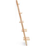 VidaXL Wandrek Ladder 41,5x30x176 cm Cederhout