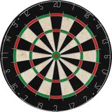 vidaXL-Dartbord-professioneel-met-kast-en-6-darts-sisal