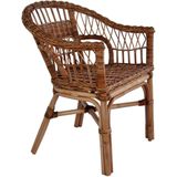 vidaXL Tuinstoelen 2 st natuurlijk rattan bruin